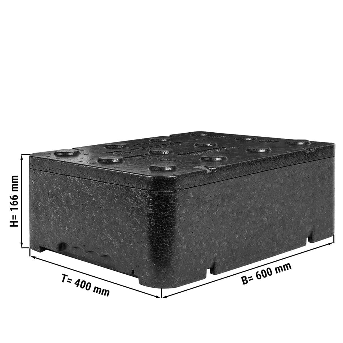 Thermobox / Polibox - 600 x 400 x 166 mm