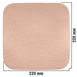 (6 pieces) Seltmann Weiden - Coup plate flat square - 220 x 220 mm