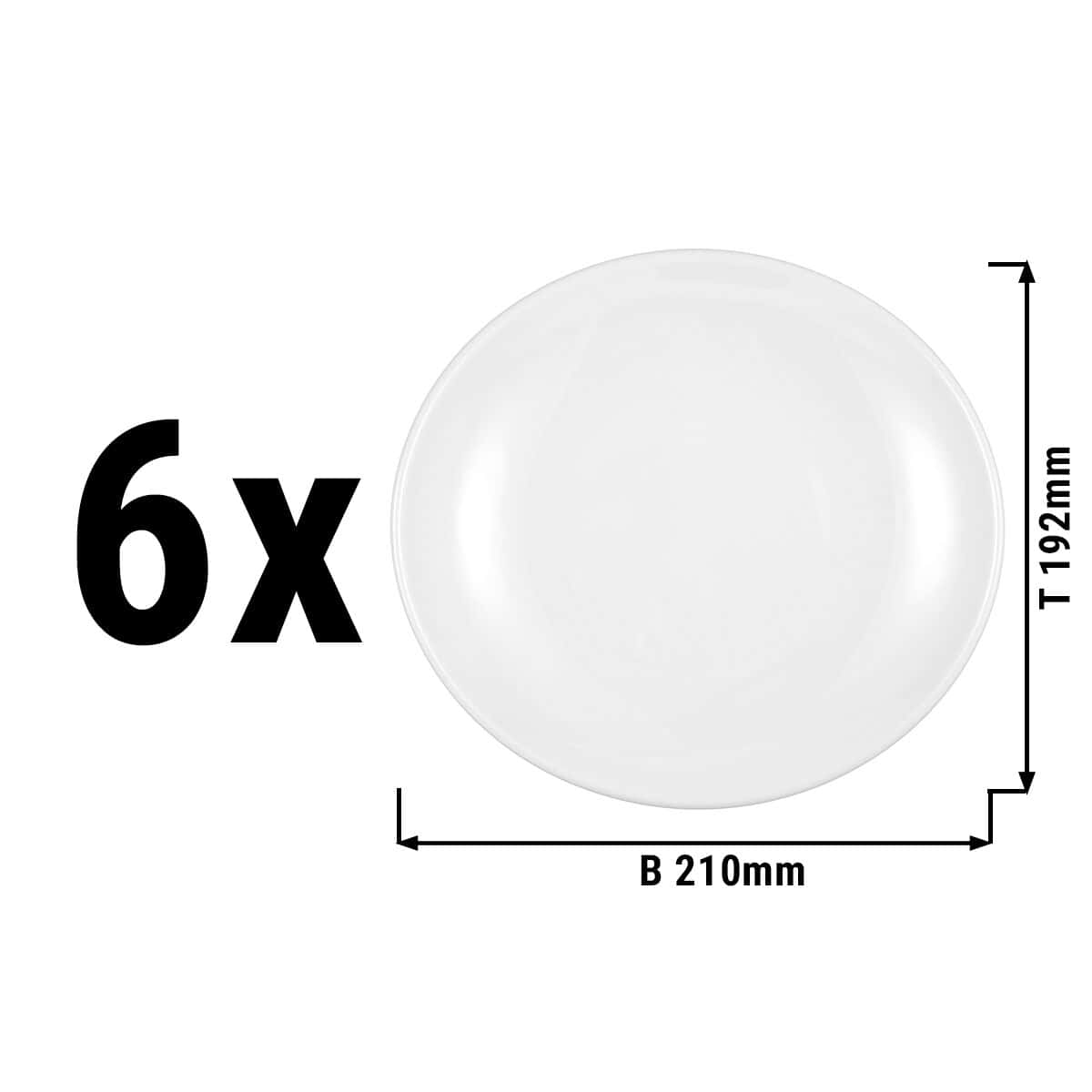 (6 pieces) Seltmann Weiden - Plate flat oval - 210 x 192 mm