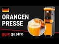 Automatische Orangenpresse - Grau - inkl. Untergestell