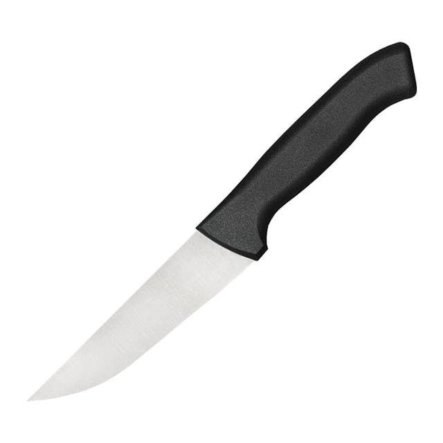 Řeznický / kuchyňský nůž - 12,5 cm - ECO