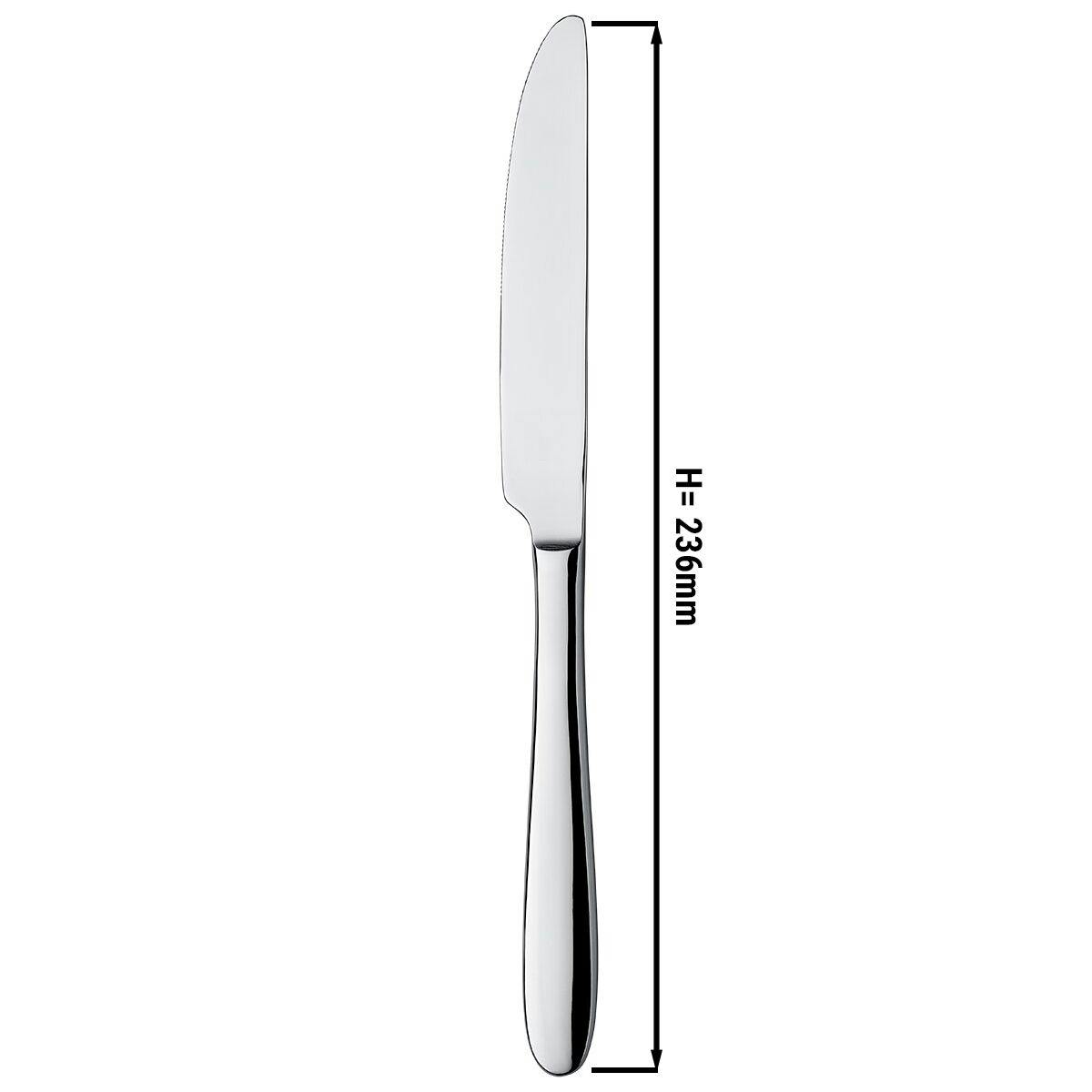 (12 Kusů) Nůž Leandro - 23,6 cm