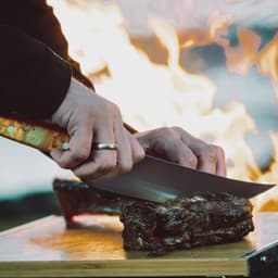 F. DICK | VIVUM - BBQ nůž Asador - čepel: 220 mm