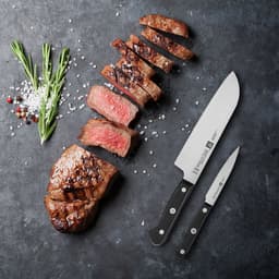 ZWILLING | GOURMET - sada nožů, 2dílná