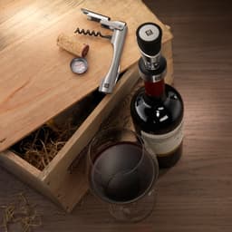 ZWILLING | SOMMELIER - Číšnický nůž - matný 