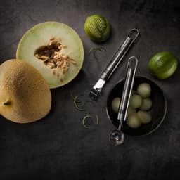 ZWILLING | PRO - Struhadlo na citrony - 170 mm