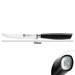 ZWILLING | ALL * STAR - Steakový nůž - čepel: 120mm - stříbrný