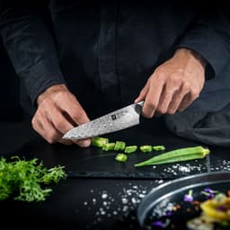 ZWILLING | TANREI - Kuchařský nůž compact - čepel: 140mm