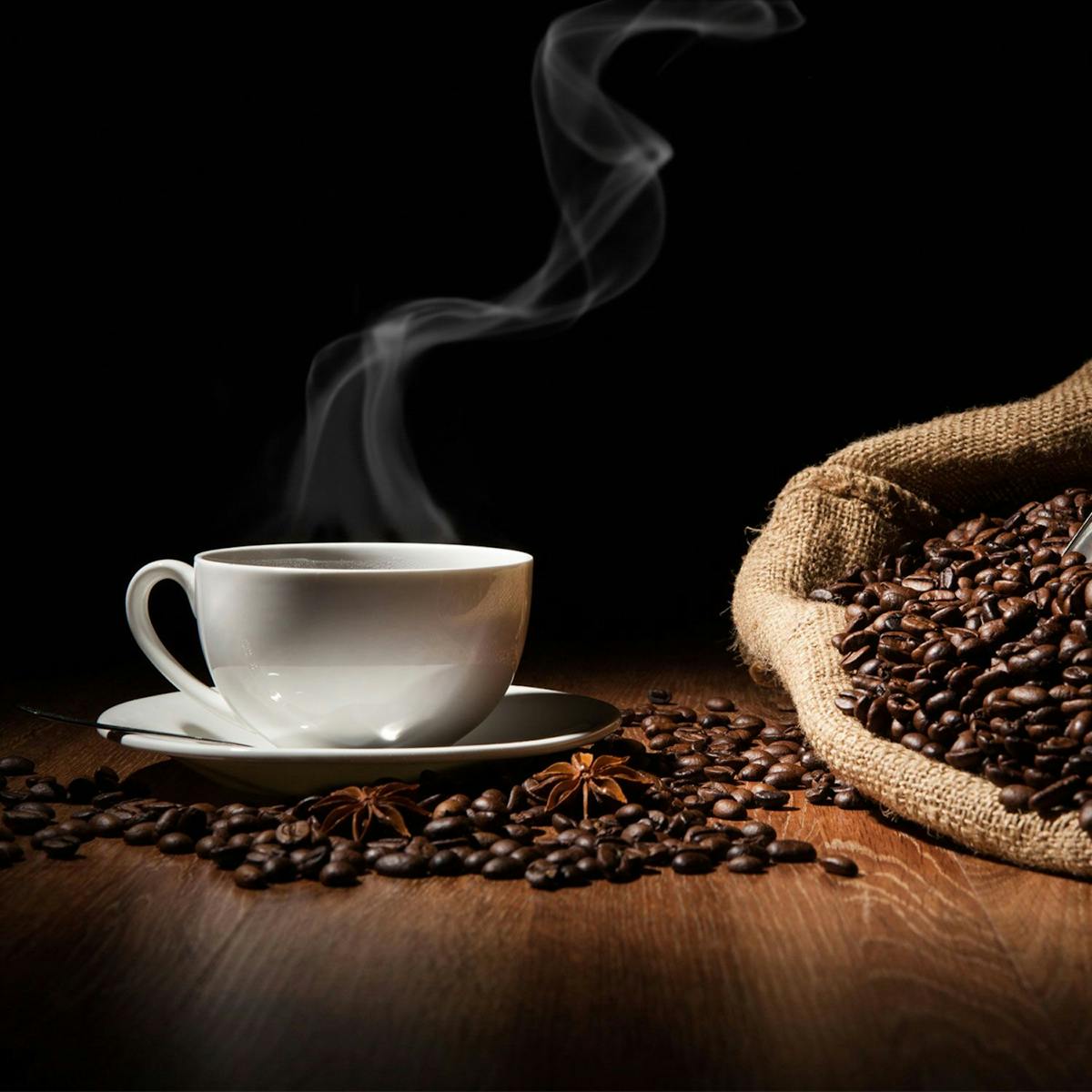 Pákový kávovar - 2 skupiny - černý