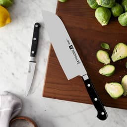 ZWILLING | PROFESSIONAL S - Sada nožů, 2dílná