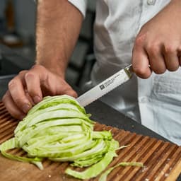 ZWILLING | VIER STERNE - Univerzální nůž s vlnitým ostřím - čepel: 130mm